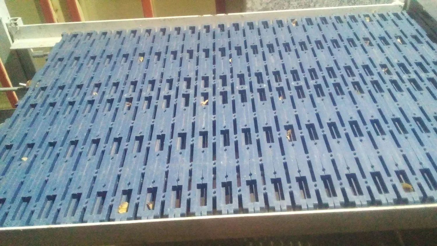 نبات|فروشگاه و مغازه|قم, امامزاده ابراهیم|دیوار