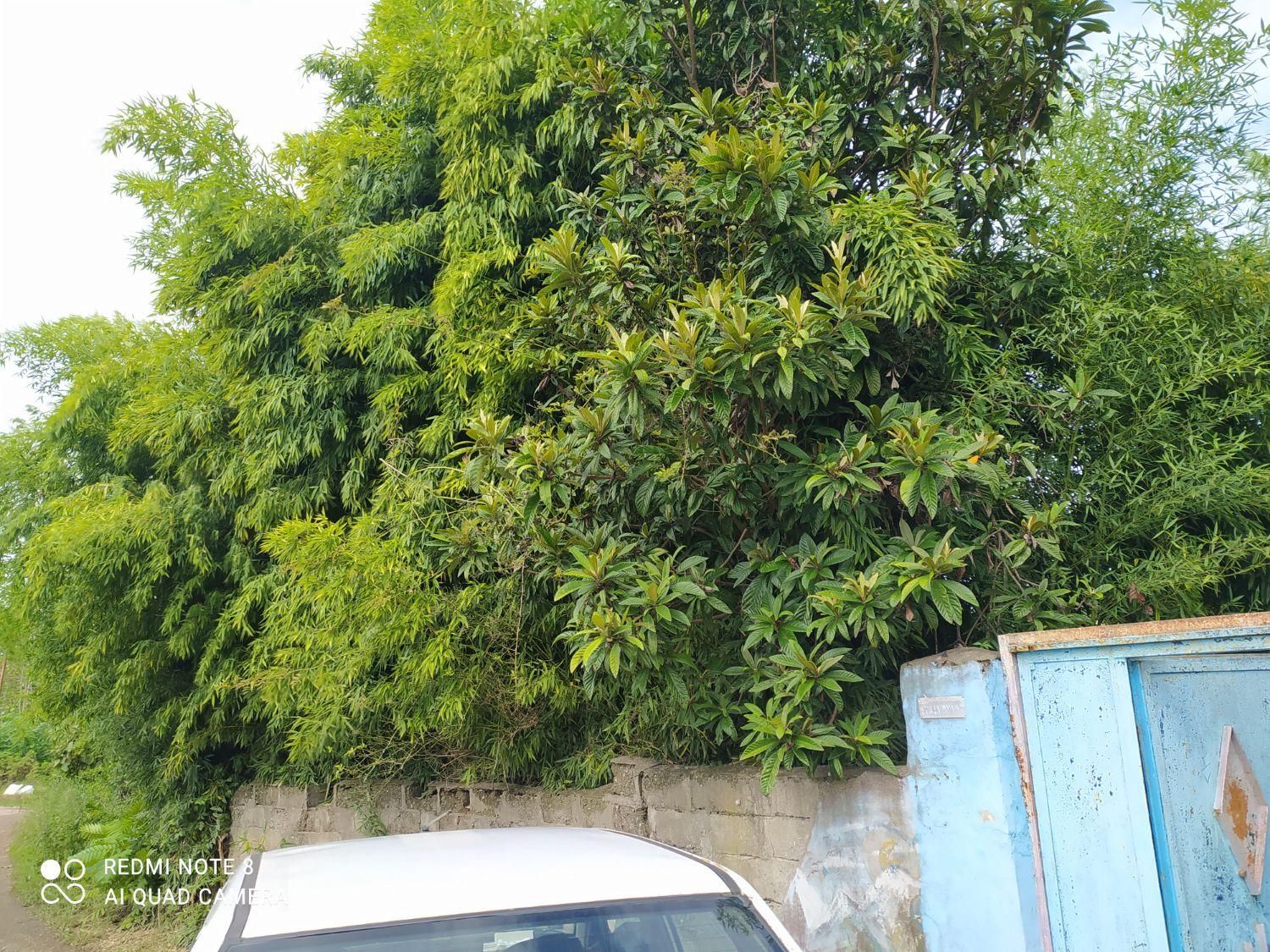 ویلای ۱۰۰متریدر رضوانشهر|فروش خانه و ویلا|رضوانشهر, |دیوار