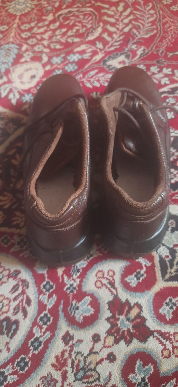 کفش   سایز ۴۴|کیف، کفش، کمربند|شیراز, شهرک والفجر|دیوار