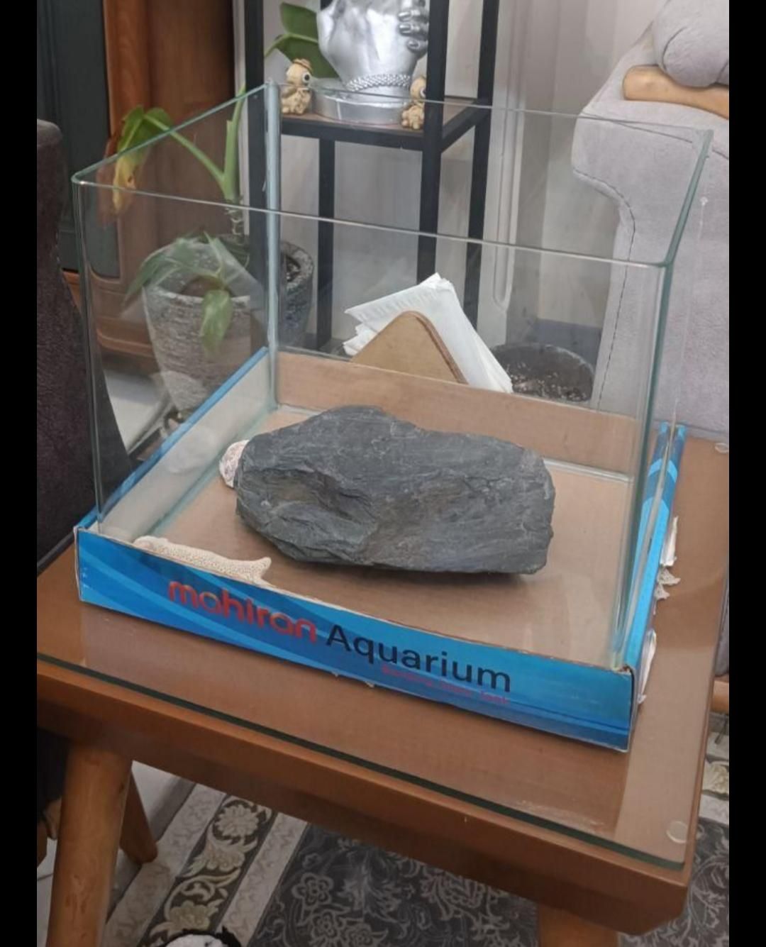 آکواریوم شیشه خم ماهیران|ماهی|تهران, نظام‌آباد|دیوار