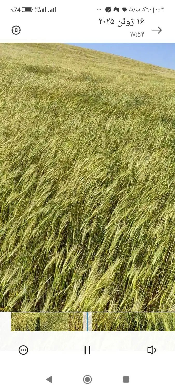 فروش زمین کشاورزی دیم درروستای حصاراسلمرز|فروش زمین و ملک کلنگی|سنندج, |دیوار