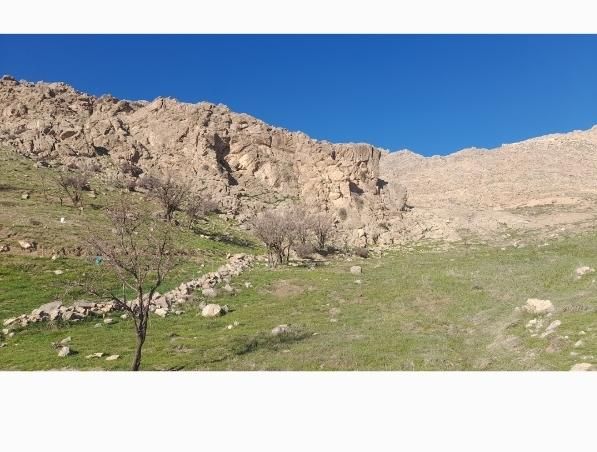 فروش ۳.۸هکتار باغ و زمین|فروش دفتر صنعتی، کشاورزی، تجاری|فارسان, |دیوار