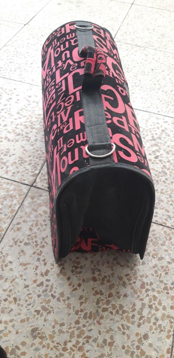 جای گربه|لوازم جانبی حیوانات|مشکین‌دشت, |دیوار