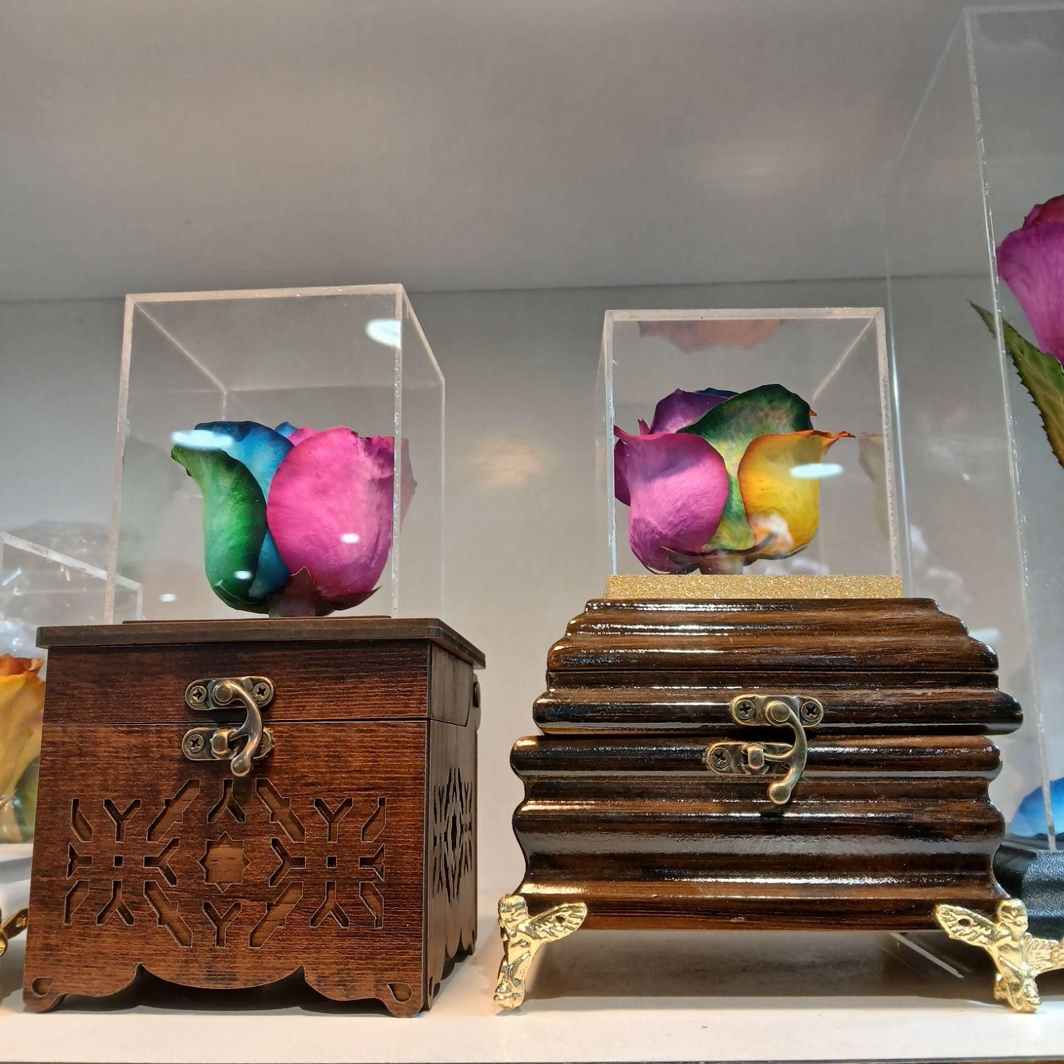 گل رز جاودان|گل و گیاه طبیعی|قم, باجک یک|دیوار