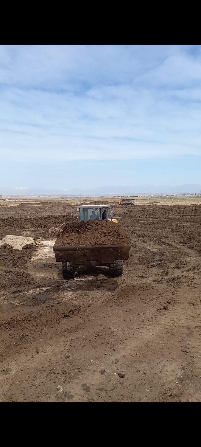 کودکهنه پوسیده گاوی و گوسفندی سوخته نرم|خدمات باغبانی و درختکاری|ماهدشت, |دیوار