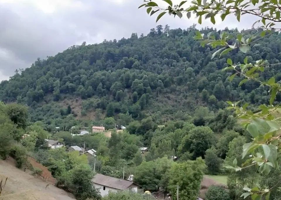 راهنمایی بابت روستا بسک تالش چجور جایی هست|فعالیت داوطلبانه|تالش, تالش|دیوار