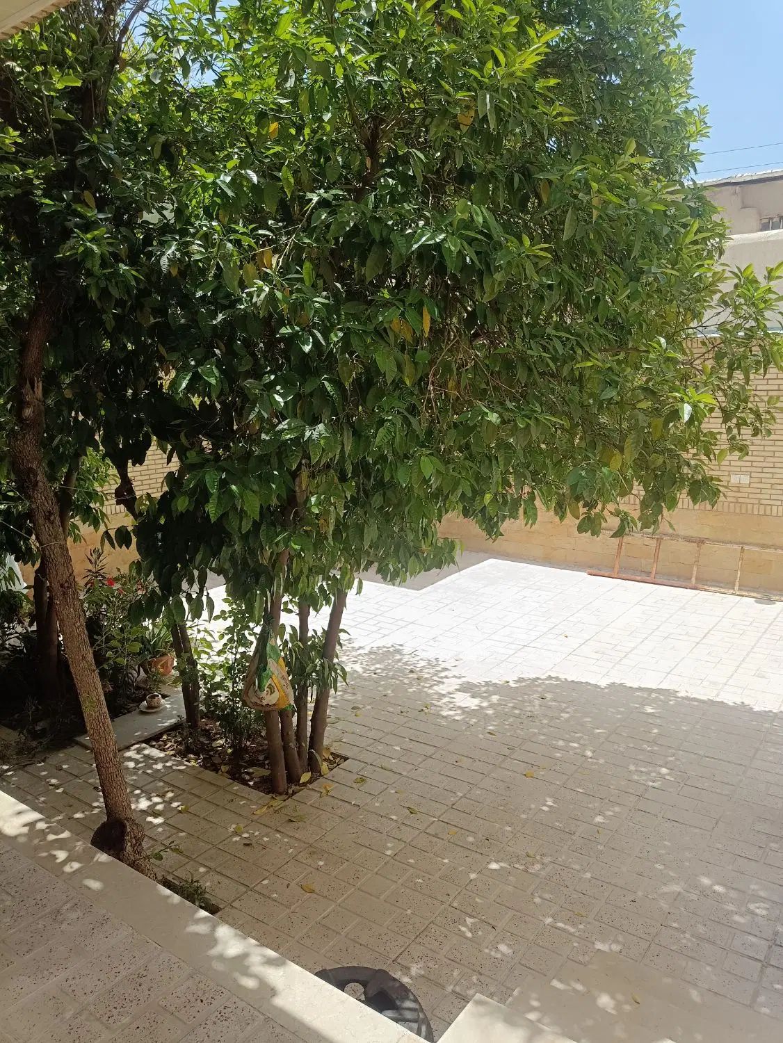 منزل دربست همراه حیاط وپارکینگ اختصاصی با امکانات|اجارهٔ کوتاه‌مدت آپارتمان و سوئیت|شیراز, شاهچراغ|دیوار