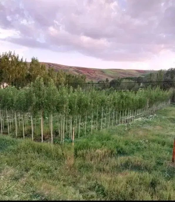 باغ ویلا۷۰۰۰متر بر جاده تهران تبریز|فروش خانه و ویلا|تهران, آذری|دیوار