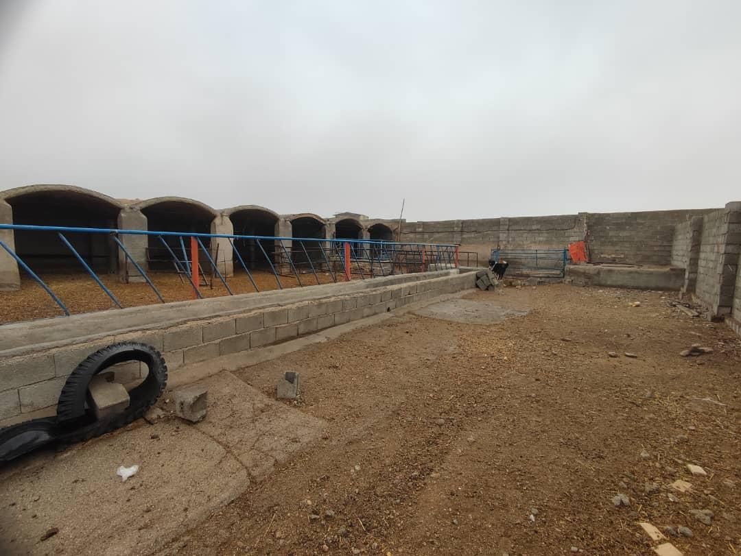 گاوداری دامداری|فروش دفتر صنعتی، کشاورزی، تجاری|شهرضا, |دیوار