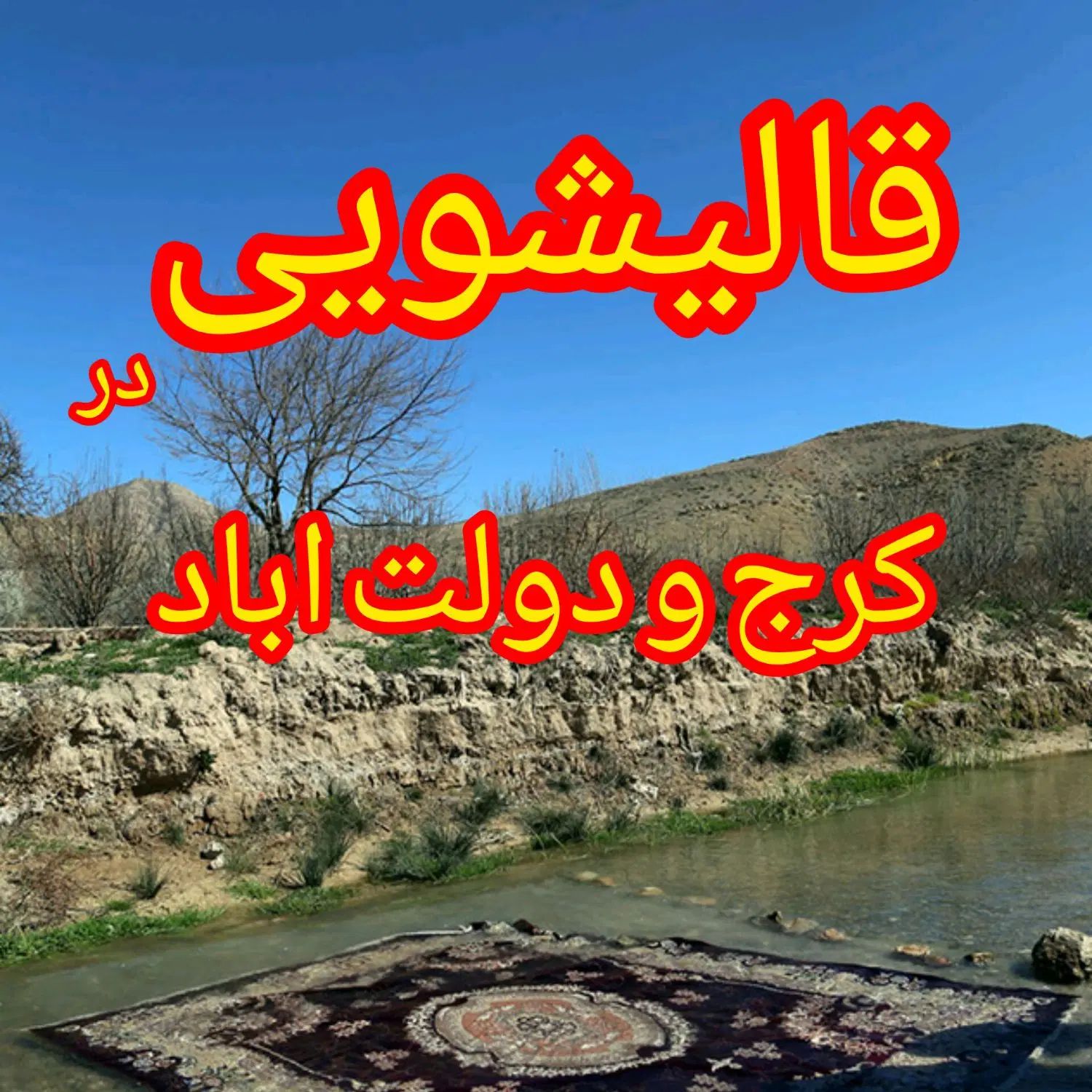 کارخانه قالیشویی و مبل شویی بام کرج|خدمات نظافت|کرج, دولت‌آباد|دیوار