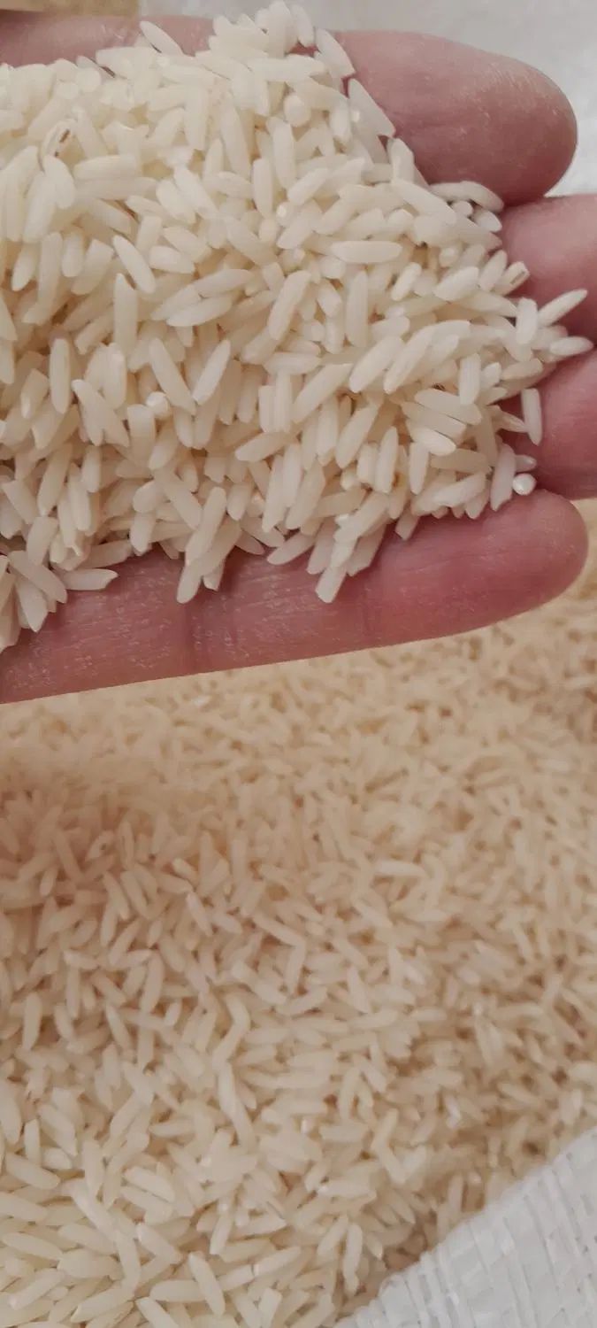 هاشمی   ۲۷کیلو تازه کوبیده از دست کشاورز|خوردنی و آشامیدنی|رشت, پل تالشان|دیوار