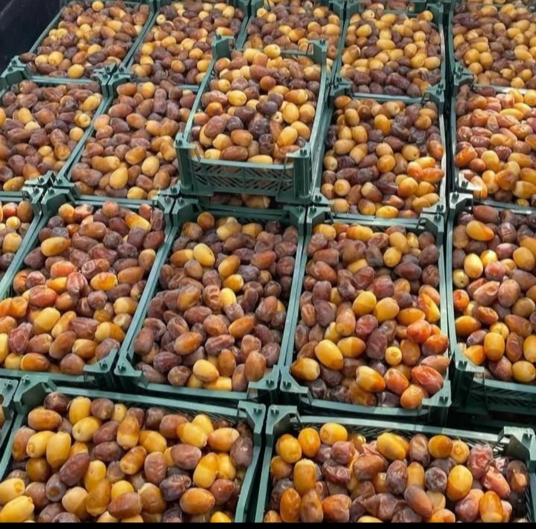 رطب تازه جنوب -رطب خرما کبکاب بوشهر خشت|خوردنی و آشامیدنی|تهران, شیراز|دیوار