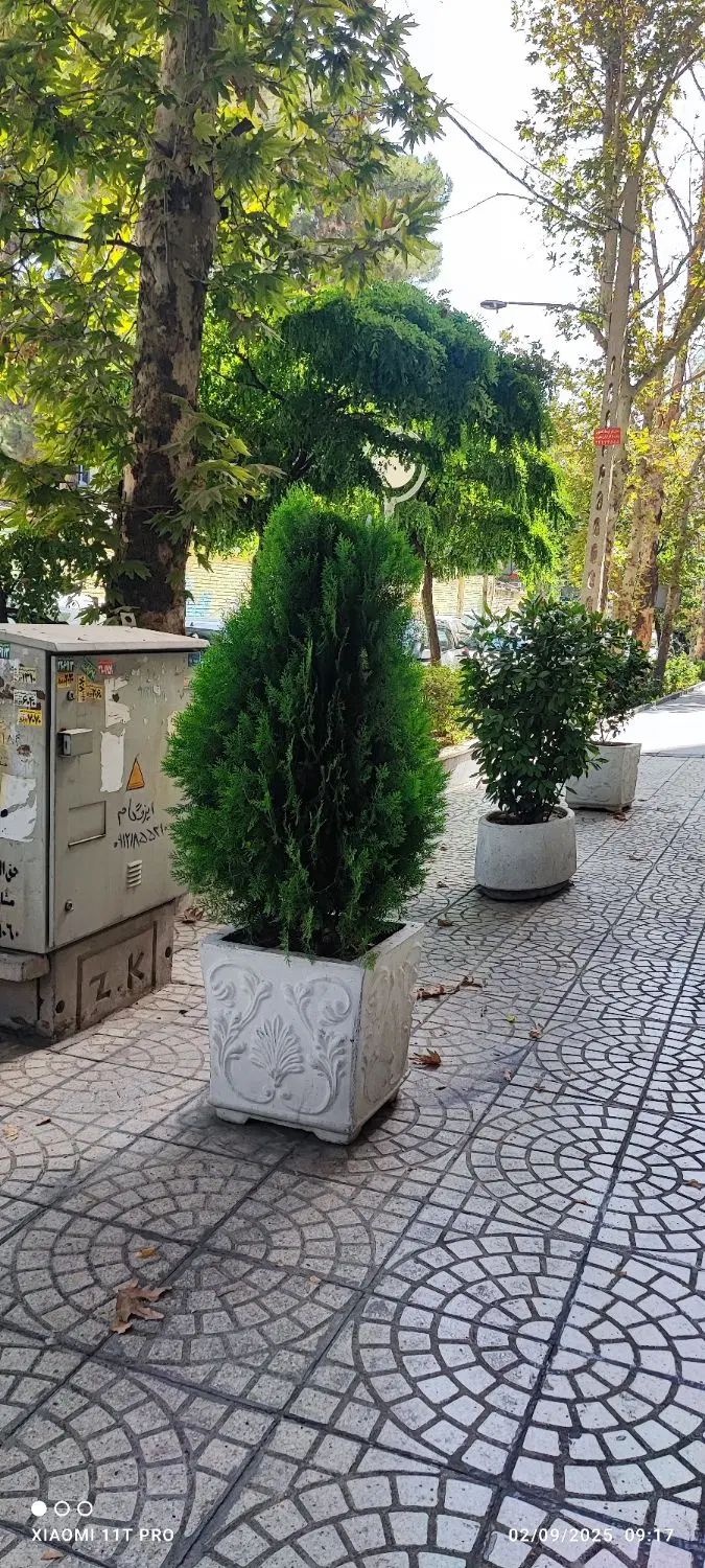 گرین دکتر.صفرتاصد فضای سبز شما با گرین دکتر|گل و گیاه طبیعی|تهران, آجودانیه|دیوار
