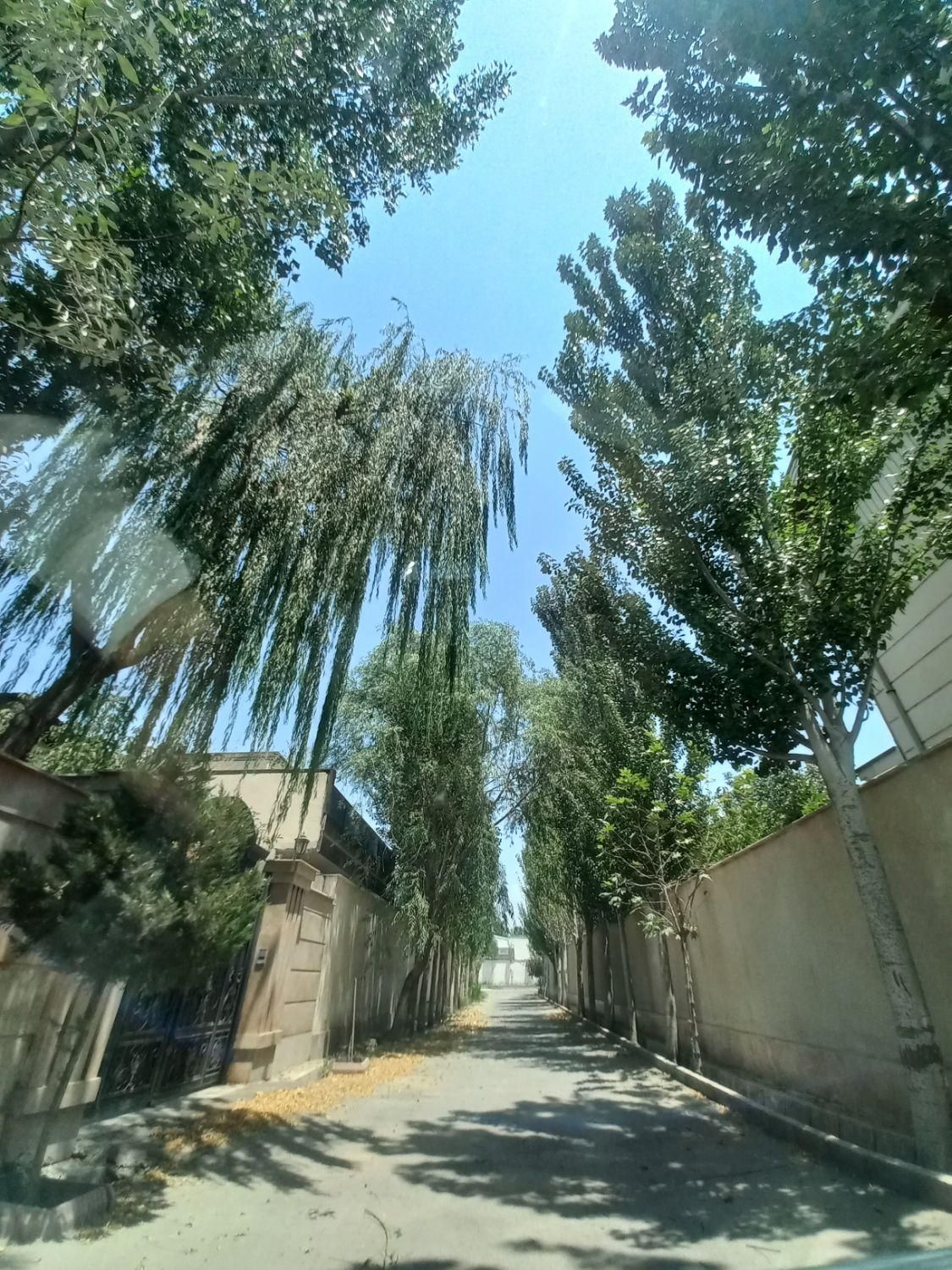 زمین سوپرکاسبی۶۰۰م تهراندشت/ سهیلبه/ نمکلان|فروش زمین و ملک کلنگی|کرج, بهار|دیوار