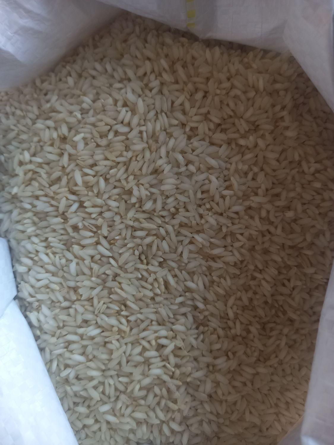 برنج عنبربو خوزستان|خوردنی و آشامیدنی|تهران, شهرک شریعتی|دیوار