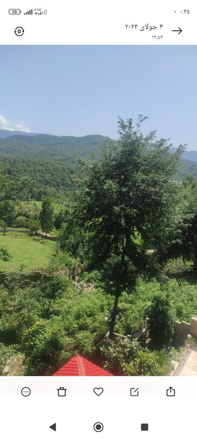 اجاره ویلای جنگلی چالوس|اجارهٔ کوتاه‌مدت ویلا و باغ|چالوس, |دیوار