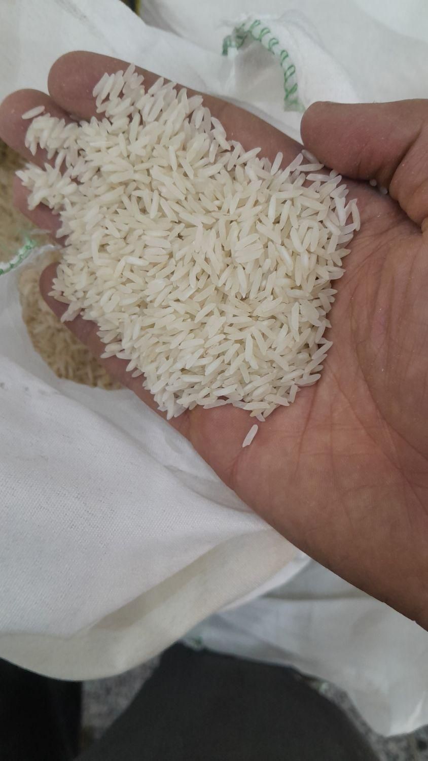 برنج درجه ۱ رسید|خوردنی و آشامیدنی|تهران, شهرک شریعتی|دیوار