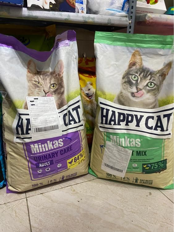 پت شاپ بمدیریت دکتر دامپزشک|لوازم جانبی حیوانات|رشت, حمیدیان|دیوار