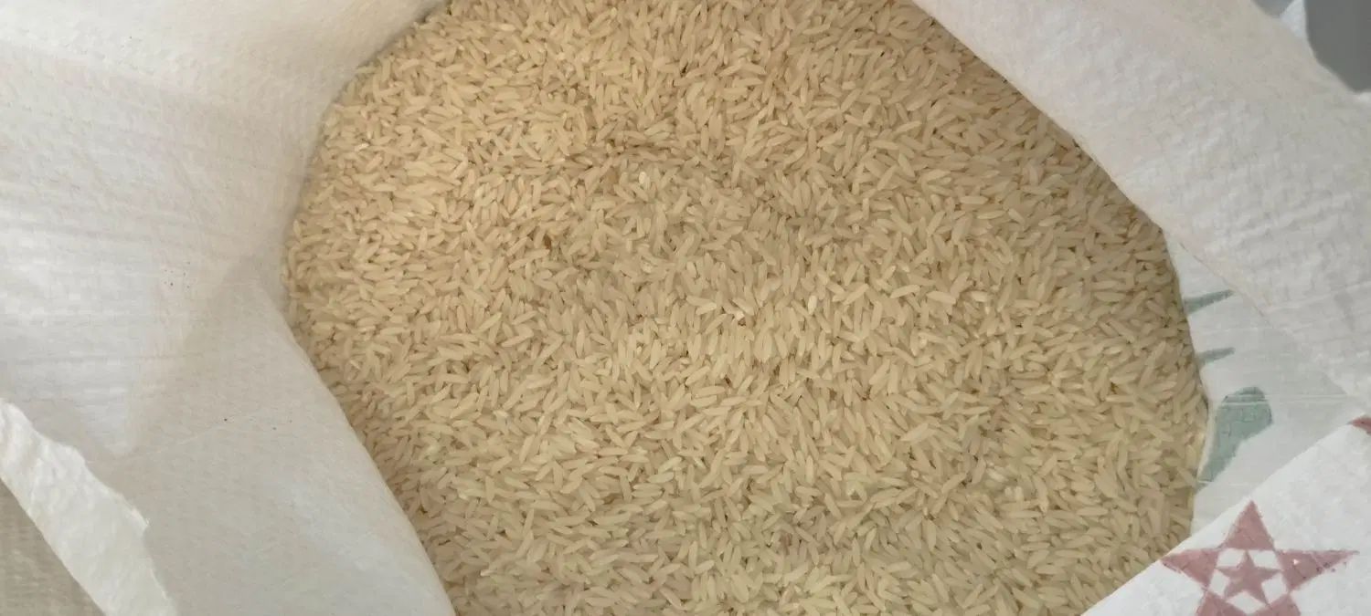 طارم هاشمی خالص درجه یک معطر به شرط پخت و مرجوعی|خوردنی و آشامیدنی|تکاب, |دیوار