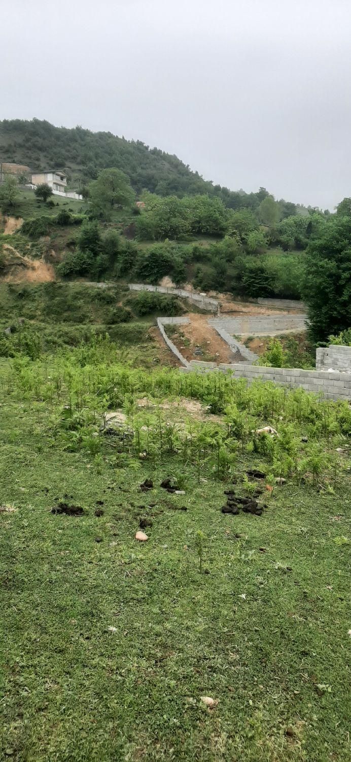 فروش ویژه ی زمین در سوادکوه شهر زیراب|فروش زمین و ملک کلنگی|زیرآب, |دیوار