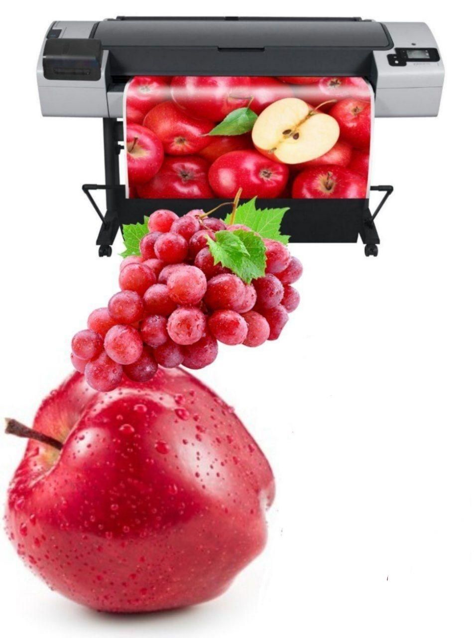 فروش هد جوهر پلاتر اچ پی کانن موتو|پرینتر، اسکنر، کپی، فکس|تهران, آرژانتین|دیوار