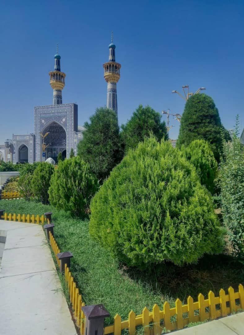 کاروان مشهدمقدس فقط۴نفرکم حرکت فرداعصر|تور و چارتر|اهواز, کمپلو شمالی|دیوار