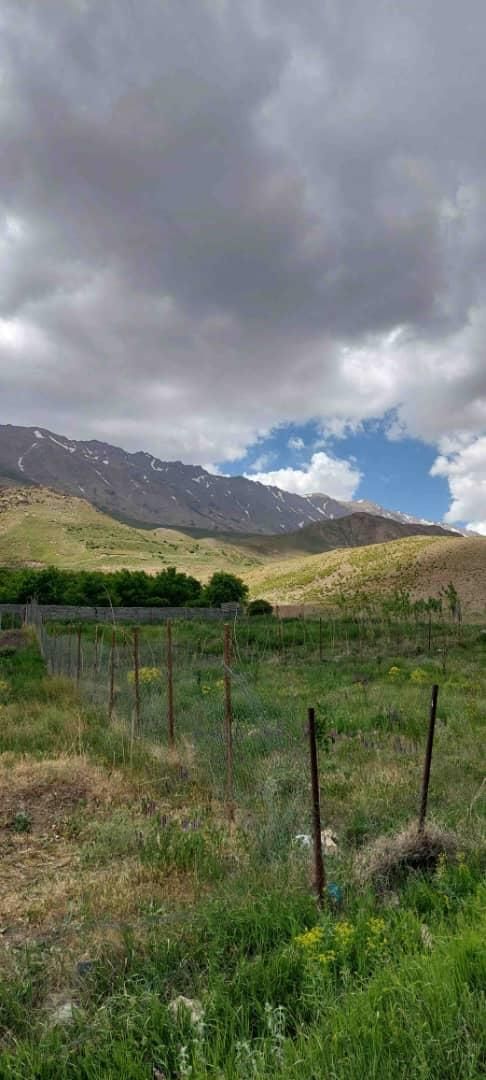 فروش باغچه ۵۶۲ متری ارجمند روستای نجفدر|فروش زمین و ملک کلنگی|ارجمند, |دیوار