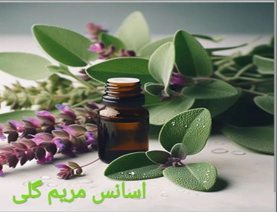 آموزش و مدرک معتبر عطاری و گیاهان دارویی|خدمات آموزشی|شیراز, ملاصدرا|دیوار