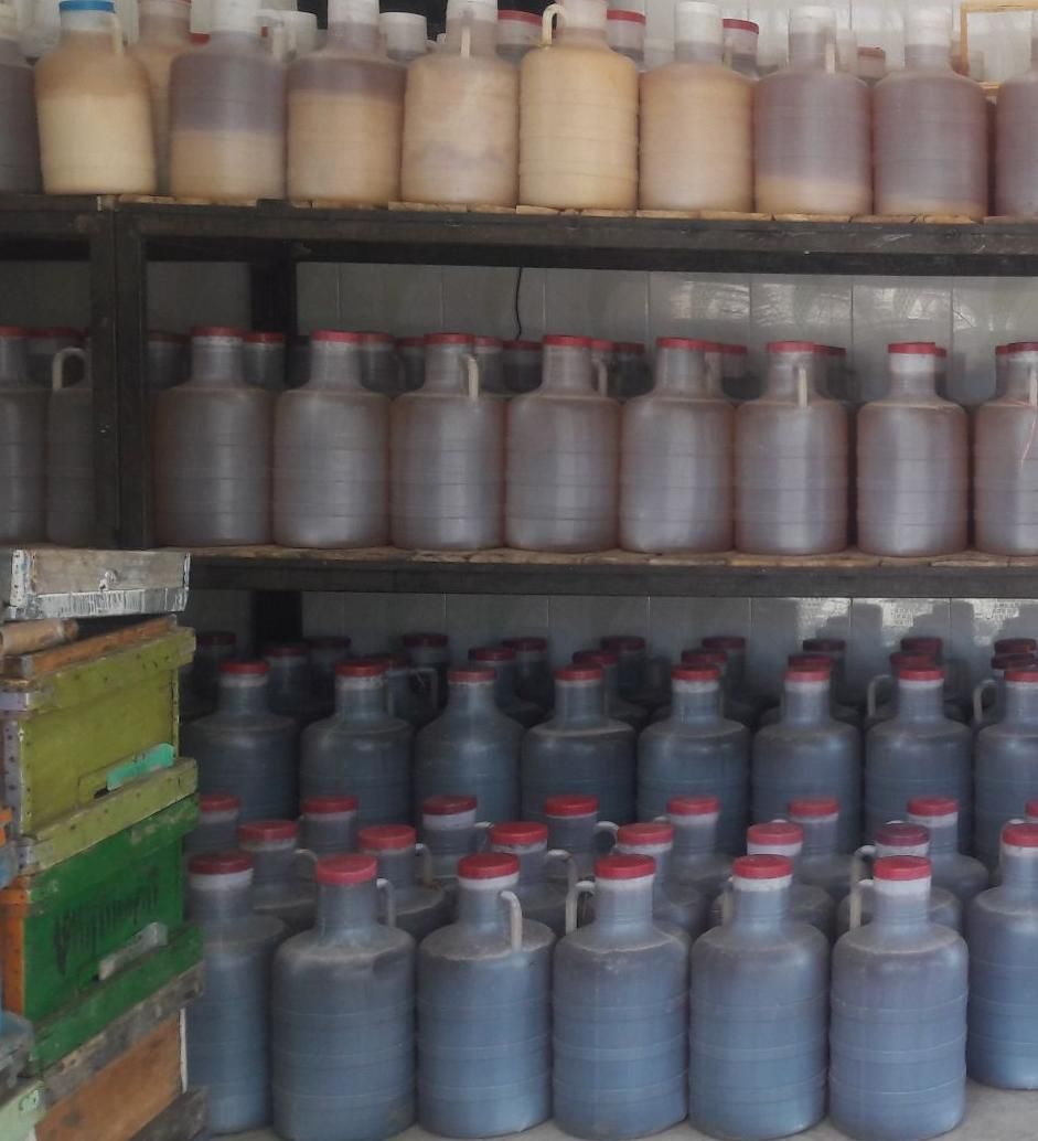 شان اصل قاب طبیعی|خوردنی و آشامیدنی|سبزوار, نواب صفوی|دیوار