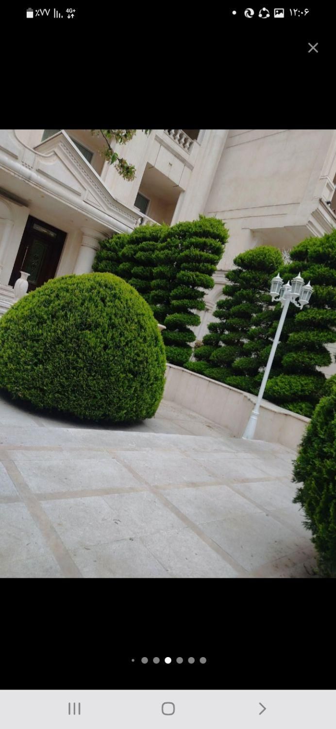 خدمات باغبانی فروش گیا قیمت مناسب|خدمات باغبانی و درختکاری|کرج, فاز ۲ مهرشهر|دیوار