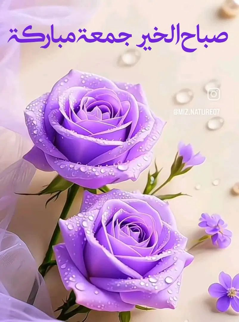 راهنمای میخام|فعالیت داوطلبانه|کرج, گوهردشت|دیوار