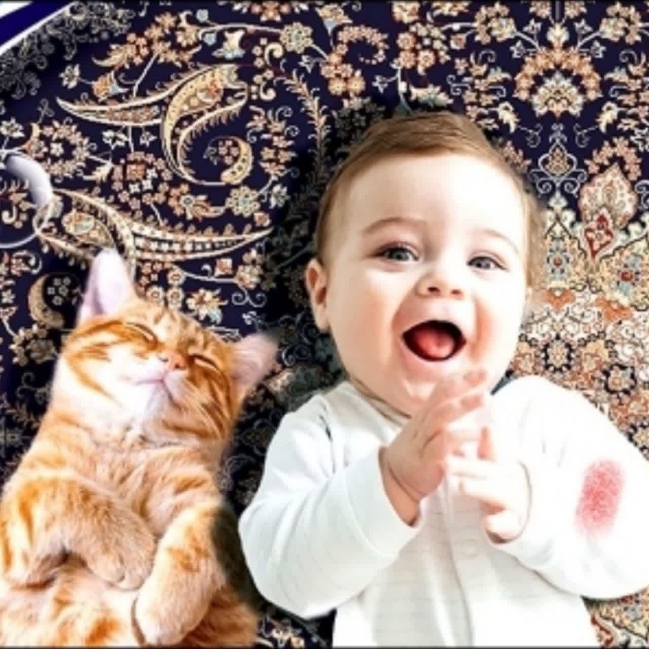 قالیشویی مبلشویی قــیطران۶۰۰ ۶۰۰ ۳۵|خدمات نظافت|اصفهان, عطار نیشابوری|دیوار
