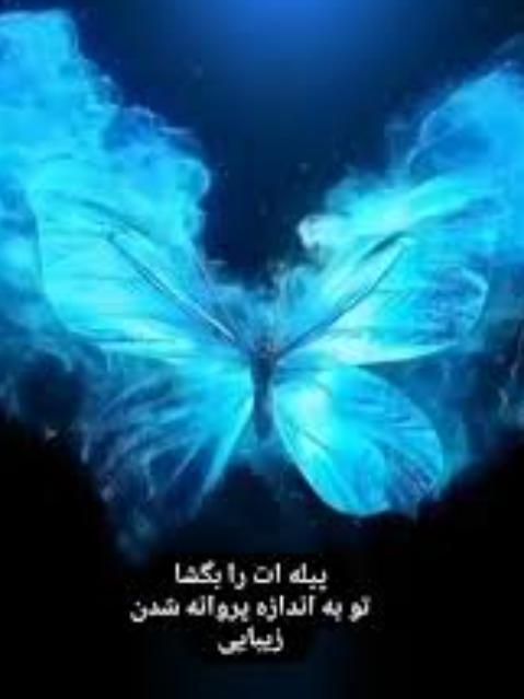 توکل ب خدا|لوازم جانبی موبایل و تبلت|قم, مهدیه|دیوار