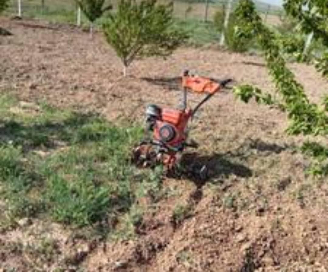 علف زنی وپاکنی باغهاوباغچها وگلخانها|خدمات باغبانی و درختکاری|صدرا-فارس, |دیوار