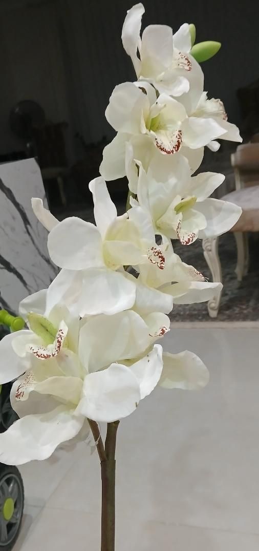 فروش گل ارکیده لمسی ۱۵ شاخه لوکس|گل مصنوعی|صومعه‌سرا, |دیوار