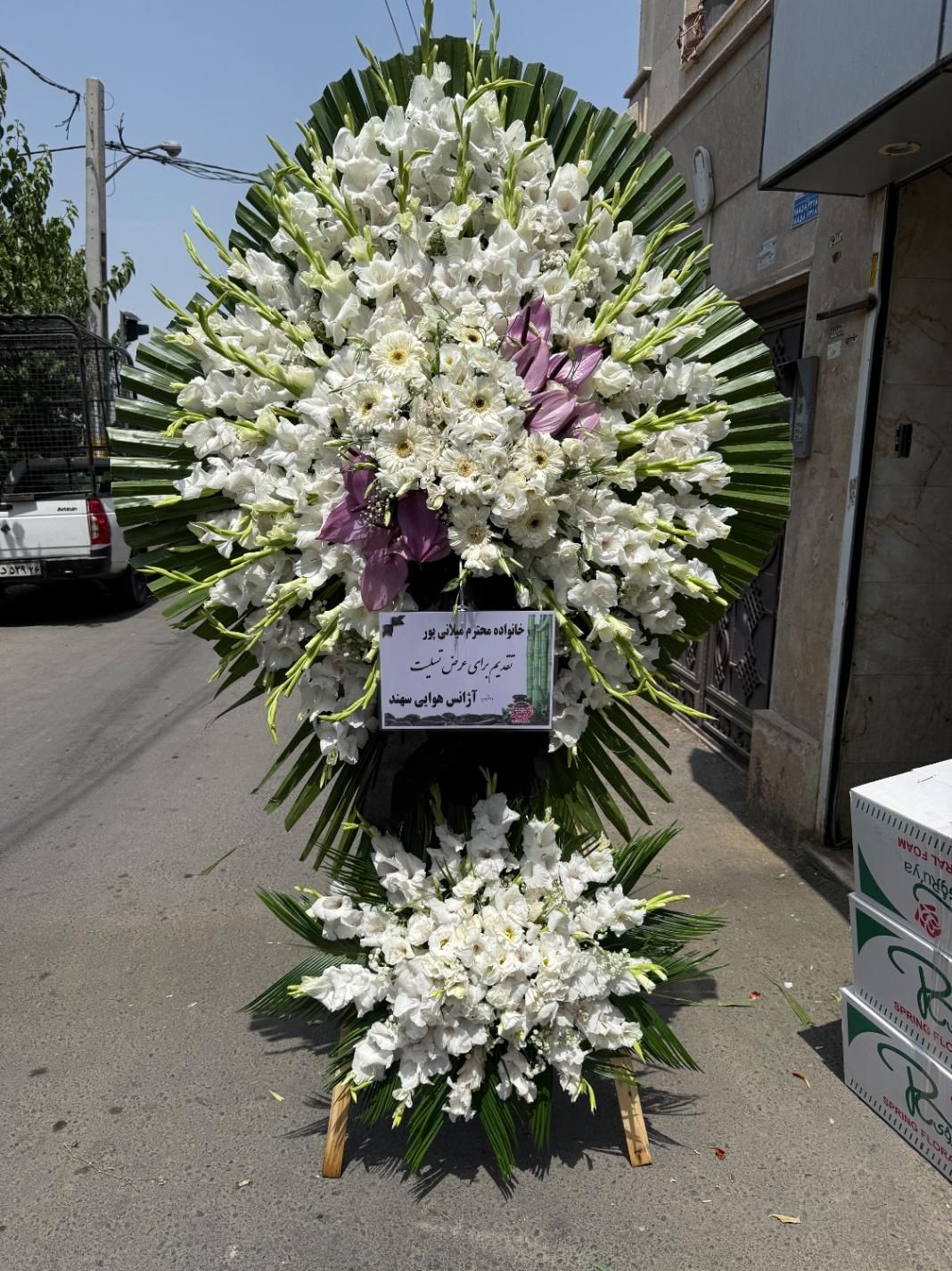 عرضه مستقیم تاج گل از بازار گل|گل و گیاه طبیعی|ری, شهید غیوری (ابن باویه)|دیوار