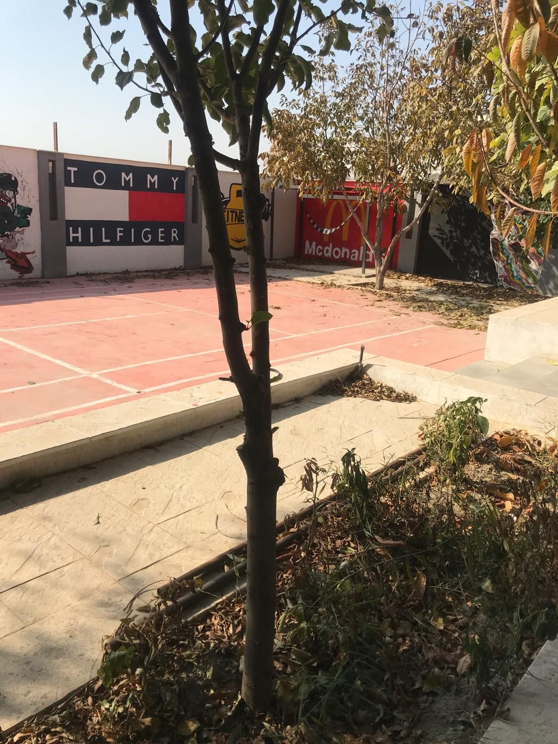 اجاره باغ ویلا|اجارهٔ کوتاهمدت ویلا و باغ|پردیس, فاز ۶|دیوار