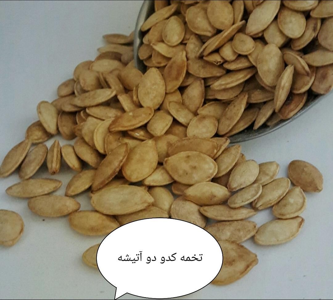 فروش تخمه بصورت جز و عمده|خوردنی و آشامیدنی|رشت, فرزانه|دیوار