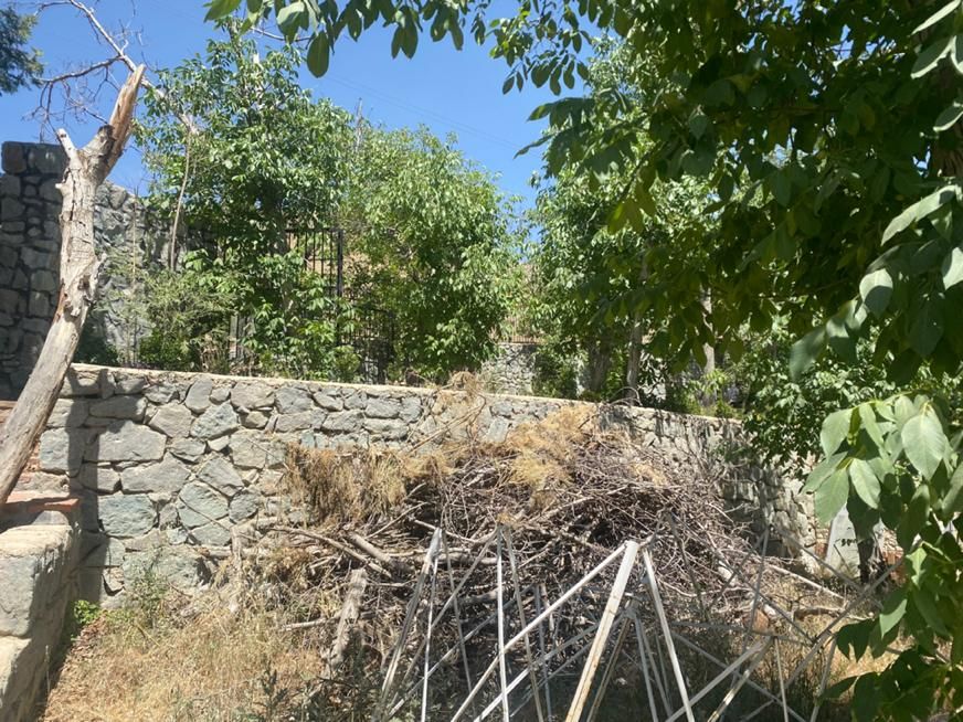 ۱۰۰۰ متر باغ * کردان * سند تکبرگ * استخر * تهاتر|فروش زمین و ملک کلنگی|کرج, عظیمیه|دیوار