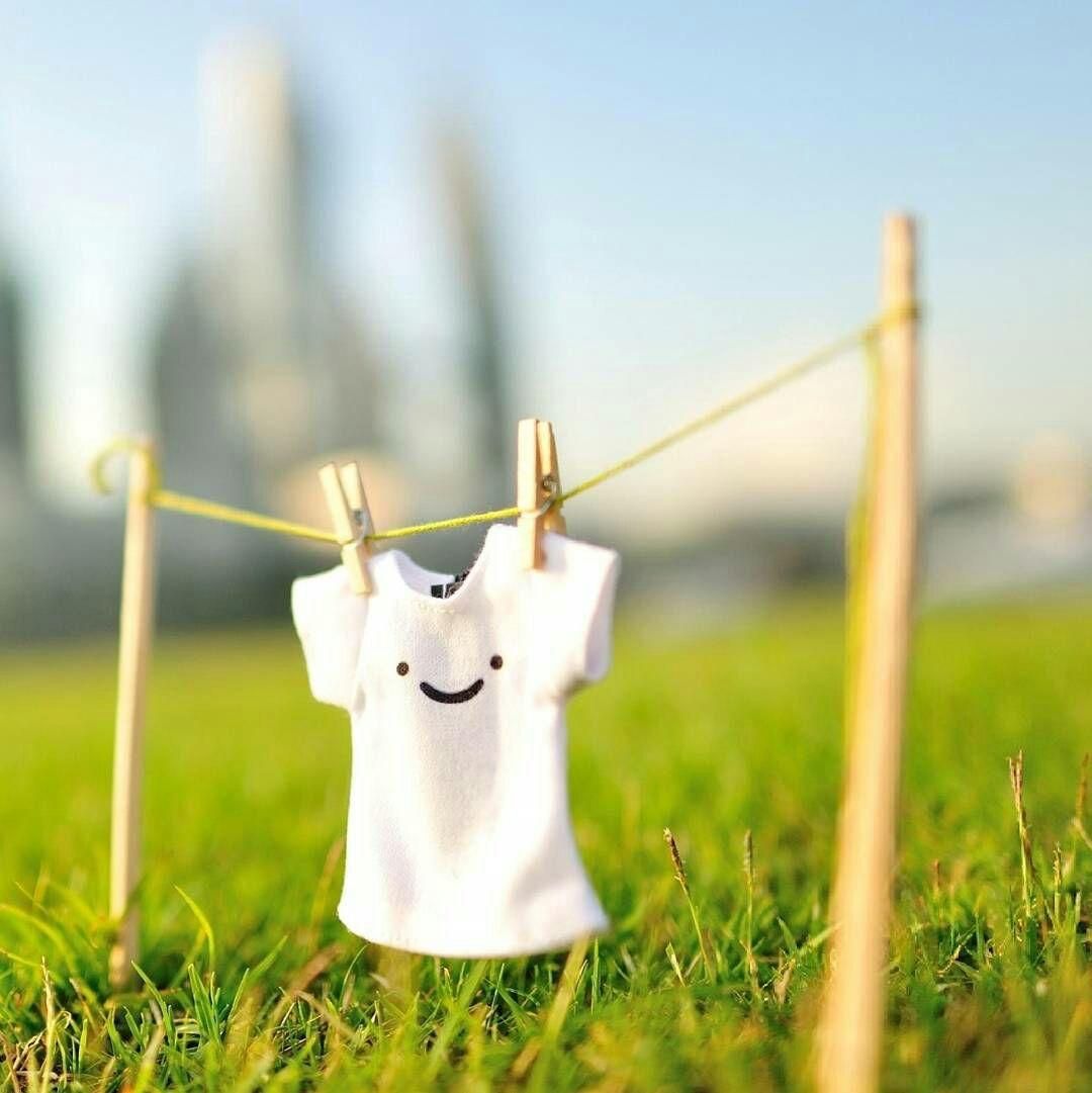 خشکشویی و پتوشویی مدرنا(با سرویس رفت و برگشت)|خدمات نظافت|زاهدان, |دیوار