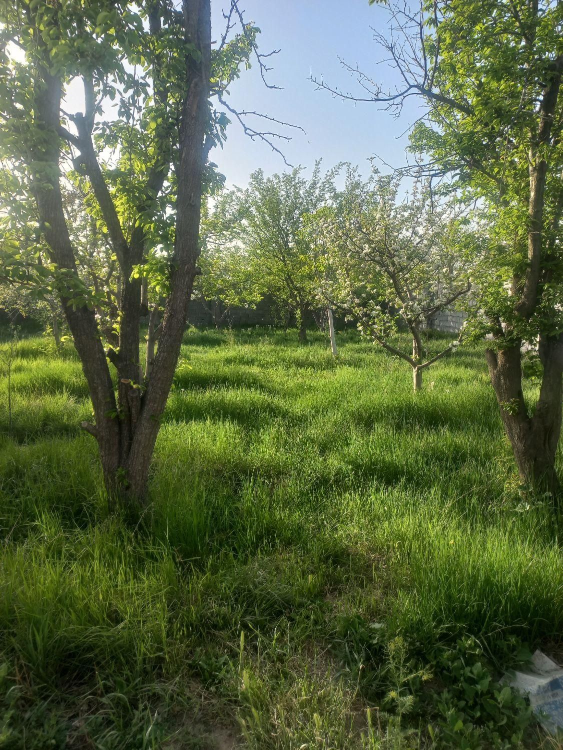 باغ باغچه ۵۰۰ متری پایین ده جاده شیرحصار|فروش زمین و ملک کلنگی|مشهد, میان ولایت|دیوار