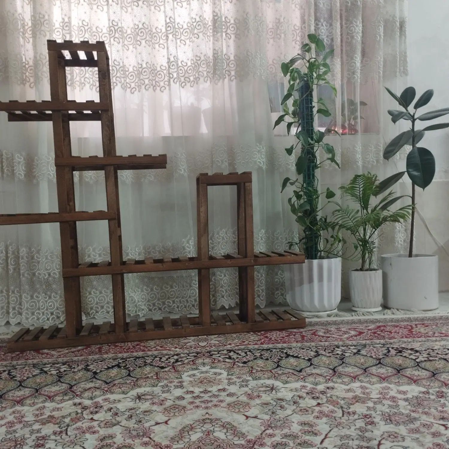 استند گل|گل و گیاه طبیعی|مشهد, فاطمیه|دیوار