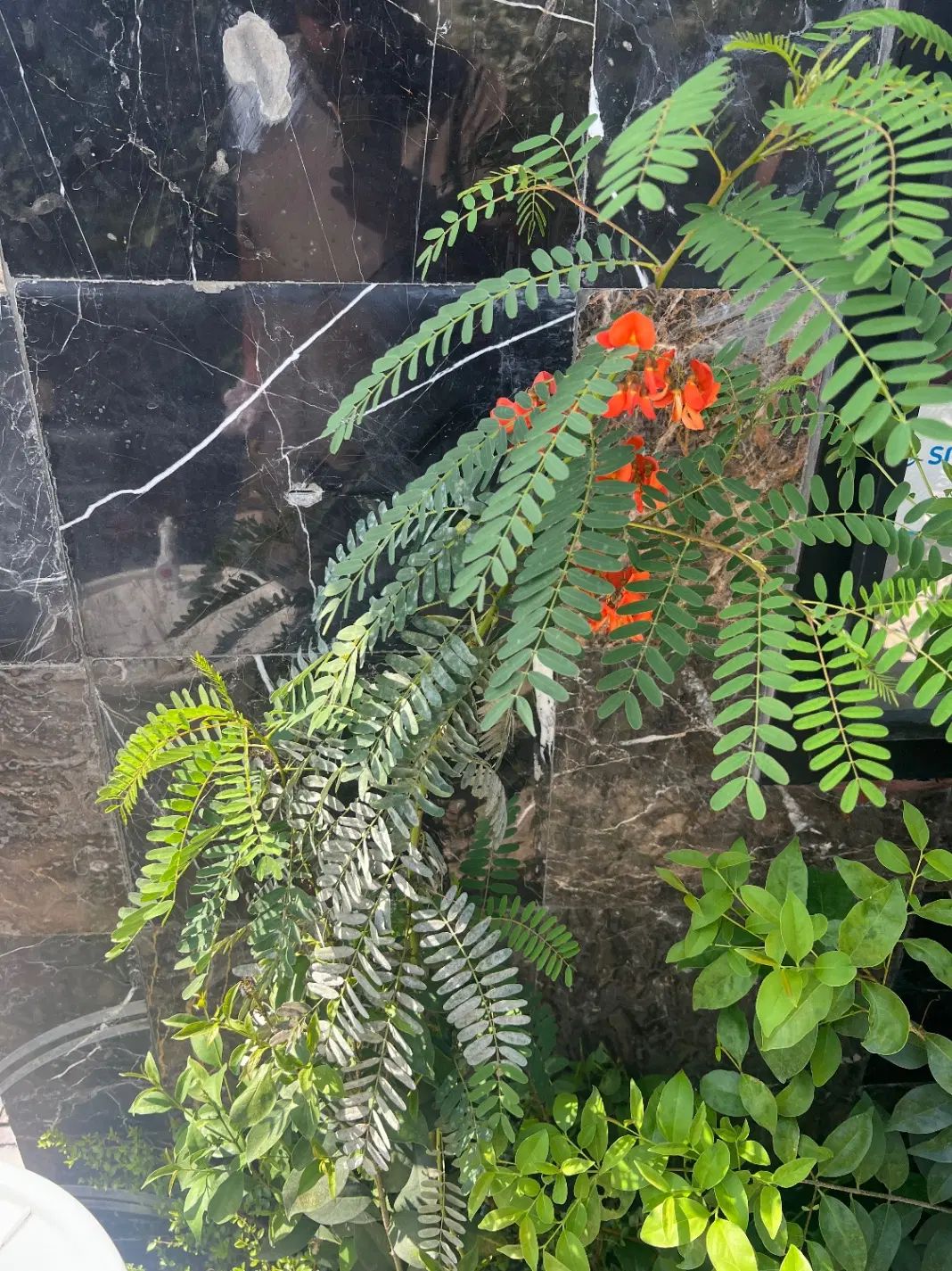 کارگر برای کار در قطعه برای کار در امور ساختمانی|استخدام معماری، عمران و ساختمانی|هشتگرد, شهرک سهیلیه|دیوار