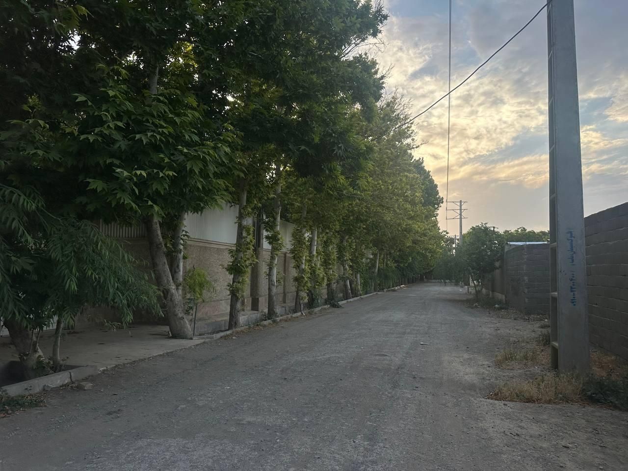 باغ ۷۲۰متری/سند۶دانگ/مناسب ساخت/خیابان پدم|فروش خانه و ویلا|محمدشهر, همایون ویلا|دیوار