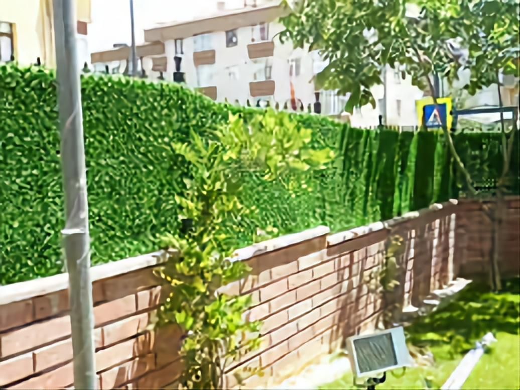 چمن فنسی دیواری|گل مصنوعی|بندر کنگان, |دیوار