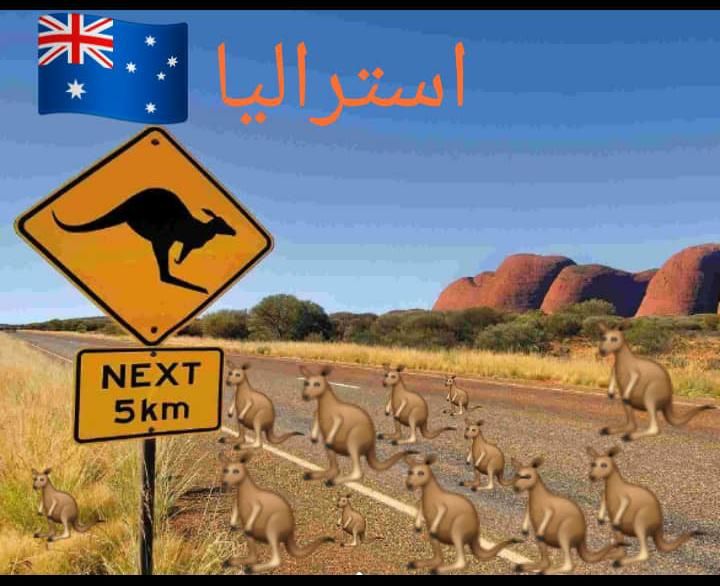 اقامت ویزا مهاجرت انگلیس کاناداعمان دبی شینگن|خدمات حمل و نقل|شیراز, قصرالدشت|دیوار