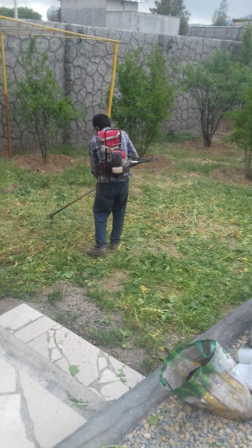 خدمات باغبانی سم پاشی هرس کاشت چمن وبرش درخت تیلر|خدمات باغبانی و درختکاری|شیراز, دشت چنار|دیوار