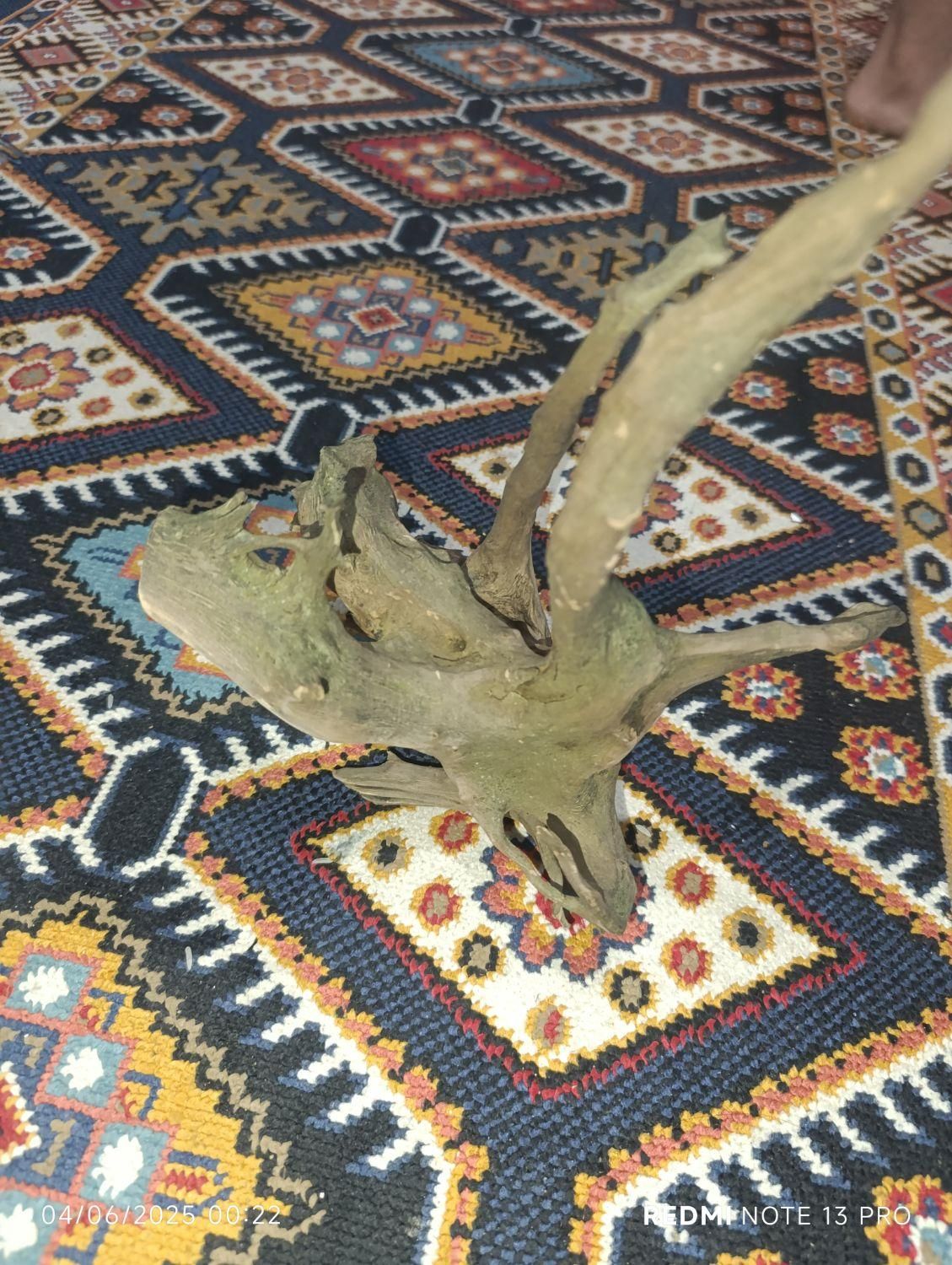 چوب آبنوس|ماهی|مسجد سلیمان, |دیوار