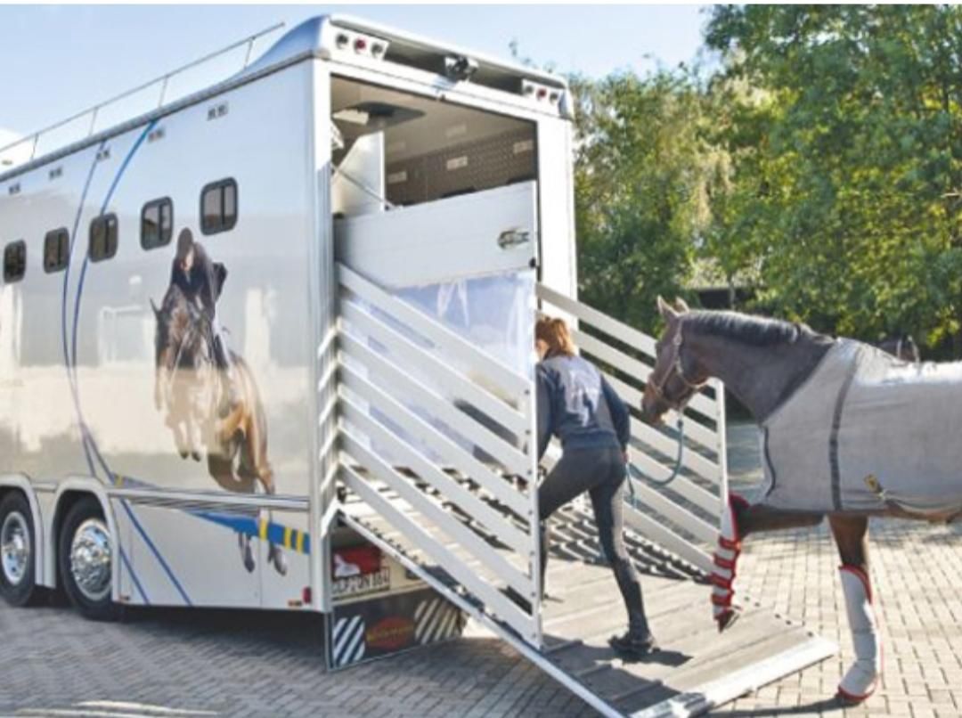 اسبکش های ۲ و ۴ اسبه ایمن پادوک|اسب و تجهیزات اسب‌سواری|تهران, چیتگر جنوبی|دیوار