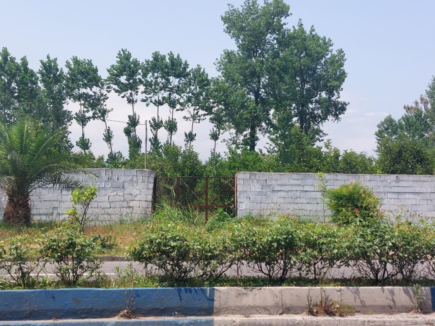 ۷۵۰ متر ملک اعیانی با ۱۴متر بر تجاری، فردوسی غربی|فروش زمین و ملک کلنگی|تنکابن, |دیوار